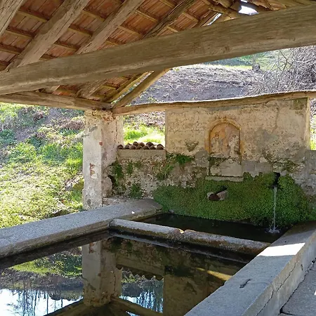 Ortacolorhome-greyhome Boleto